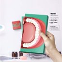 Ver imagem 3 de Profissão Dentista - Quadros ou Placas Modulares com 4 Peças