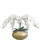 Ver imagem 1 de Arranjo Grande 4 Flores Orquídeas Real Brancas Vaso Ouro