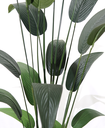 Ver imagem 2 de Planta Estrelícia 19 Folhas 150cm Arcore de Sala Vaso Decor