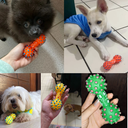 Ver imagem 2 de Mordedor de Halter Grande para Cachorro: Amarelo