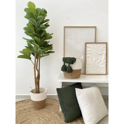 Árvore de Ficus Lyrata Grande Verde Planta Artificial Único - 2