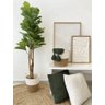 Árvore de Ficus Lyrata Grande Verde Planta Artificial Único - 2