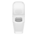 Ver imagem 7 de Vaso Sanitário Convencional com Assento Termofixo Queda Amortecida Gap Roca