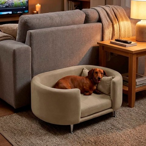 Cama para Cachorro e Gato Caminha Chase Pet Veludo Bege Pés Metal com Regulagem - Arkell