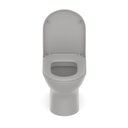 Ver imagem 7 de Vaso Sanitário Convencional com Assento Termofixo Queda Amortecida Nexo Roca Cinza/Stone Fosco