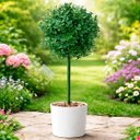 Ver imagem 3 de Bucho Buchinho Decoração Grama Jardim Planta Artificial 80cm