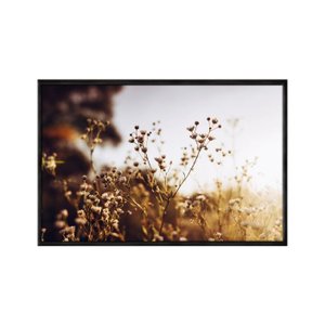 Quadro Decorativo - Flores Margarida Vintage Flnt069 - Tela Canvas - 80x60cm