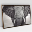 Ver imagem 1 de Quadro Decorativo em Canvas Elefante Preto e Branco TaColado Moldura Flutuante 4,5cm Freijó 90 x 60c
