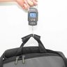 Balança Digital Precisão Pesa Bolsa Sacola e Peixe até 50 Kg - 3