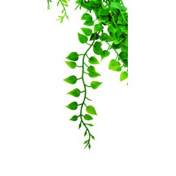 2 Pendentes Dinheiro Em Penca Folhagens Artificiais Arranjos - 2