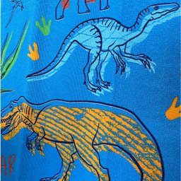 Toalha Banho Dinossauro Aveludada Estampada 70 Cm X 1,40 M - 5