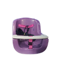 Ver imagem 1 de Balanço Infantil Bebe Lilás Brinquedo