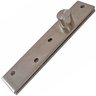 Dobradiça Pivô Pino Porta Pivotante 300 Kg 2pçs Aço Inox 304 - 5