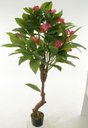 Ver imagem 1 de Planta Artificial Arvore Plumeria Real Toque C/pote X14 Rosa 1,40m