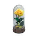 Ver imagem 1 de Linda Redoma com Rosa Pink , Inspirada na a Rosa Encantada do Filme a a Bela e a Fera e do o - Amare