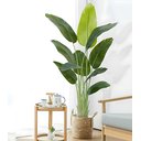 Ver imagem 1 de Bananeira Artificial Grande Planta para Decoração Sala 160cm, Planta Decorativa para Casa e Eventos.