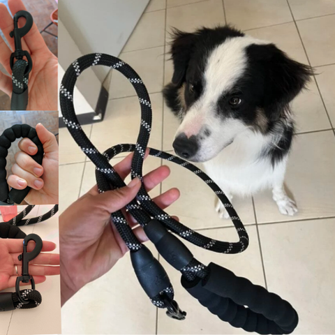 Guia Reforçada, Emborrachada Pet 1.20 cm:Vermelho escuro