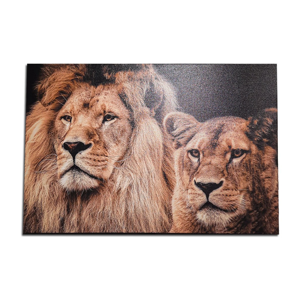 Quadro Leão e Leoa Casal King Rei 60x90cm