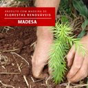 Ver imagem 7 de Conjunto Sala de Jantar Madesa Bea Mesa Tampo de Madeira com 4 Cadeiras Rustic/Crema/Floral Hibiscos