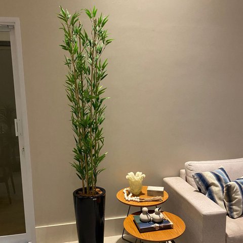 Bambu Mossô Artificial 5 Hastes Planta Permanente no Gesso