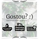 Ver imagem 4 de Torneira Lavatório Banheiro Quadrada Bica Móvel Metal 1/4v Del Metais Gourmet