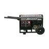 Gerador Diesel 2,2 Kva Monofásico Bivolt 115/230v Partida Manual Tdg2500xp Toyama - 4