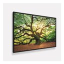 Ver imagem 2 de Quadro Árvore Natureza Carvalho Antigo Salas Recepção 123x83