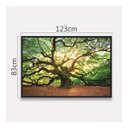Ver imagem 4 de Quadro Árvore Natureza Carvalho Antigo Salas Recepção 123x83