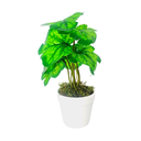 Ver imagem 2 de Arranjo de Planta Artificial em Vaso de Plástico Modelo:planta Gerânio