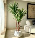 Ver imagem 1 de Planta Yucca Artificial Realista para Decoração com 150cm, Planta Decorativa para Todos Ambientes.