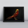 Quadros Decorativos Aves Decoração Sala Quarto Diversos:20 - 1