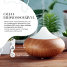 Óleo Hidrossolúvel Vanilla Puro para Umidificadores 10ml - 2