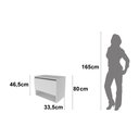 Ver imagem 5 de Balcão Gabinete Suspenso para Banheiro 60cm com 1 Porta e Nicho BN3606