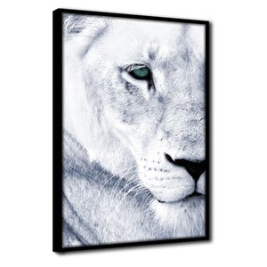 Quadro Decorativo Textura Cx Alta Leoa Cores 1 Pç 40x60  Titulo Leoa Branca Moldura Preta