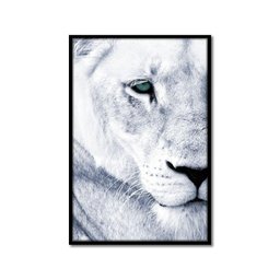 Quadro Decorativo Textura Cx Alta Leoa Cores 1 Pç 40x60  Titulo Leoa Branca Moldura Preta - 11