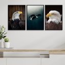 Ver imagem 2 de Kit 3 Quadros Decorativos Fotos Águia 24x18cm - com Vidro:madeira Branca