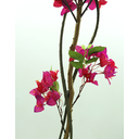 Ver imagem 2 de Arvore Flores Artificiais de Primavera Bougainville 140cm