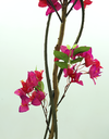 Ver imagem 2 de Arvore Flores Artificiais de Primavera Bougainville 140cm