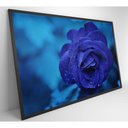 Ver imagem 6 de Quadro Rosa Lilas 60x40 Cm Vidro Impresso