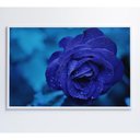 Ver imagem 2 de Quadro Rosa Lilas 60x40 Cm Vidro Impresso