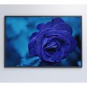Ver imagem 4 de Quadro Rosa Lilas 60x40 Cm Vidro Impresso