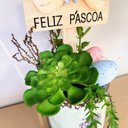 Ver imagem 4 de Arranjo De Páscoa Para Mesa Com Coelho Suculenta 26x12cm A