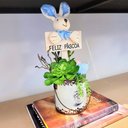 Ver imagem 6 de Arranjo De Páscoa Para Mesa Com Coelho Suculenta 26x12cm A