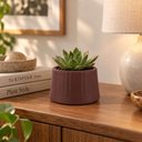 Ver imagem 2 de Vaso de Flores Pequeno Tramontina Lótus Terracota 12,5x8,5cm