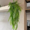 Ver imagem 4 de 2 Samambaias Folhagem Verde Pendente de Vaso Planta Artificial