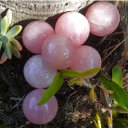 Ver imagem 3 de Bola Kit com 7 Quartzo Rosa de 4,1 a 4,9 Cm Peso 984gr Bolas de 4,1 a 4,9 Cm Peso 984gr