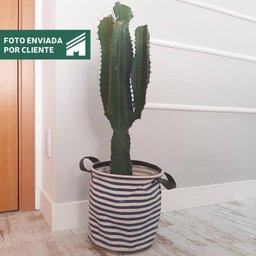 Rodapé de EVA 10cm x 10mm x 5m Moldura Autocolante Flexível RP16 Meu Rodapé - 6