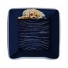 Cama Pet Para Cachorro Azul Aveludado Super Resistente e Macia - 2