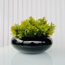 Ver imagem 3 de Vaso cachepot preto ikebana bacia enfeite de mesa c/ planta