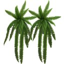 Ver imagem 1 de Kit 2 Planta Artificial Samambaia Ornamental Exótica 1,10m